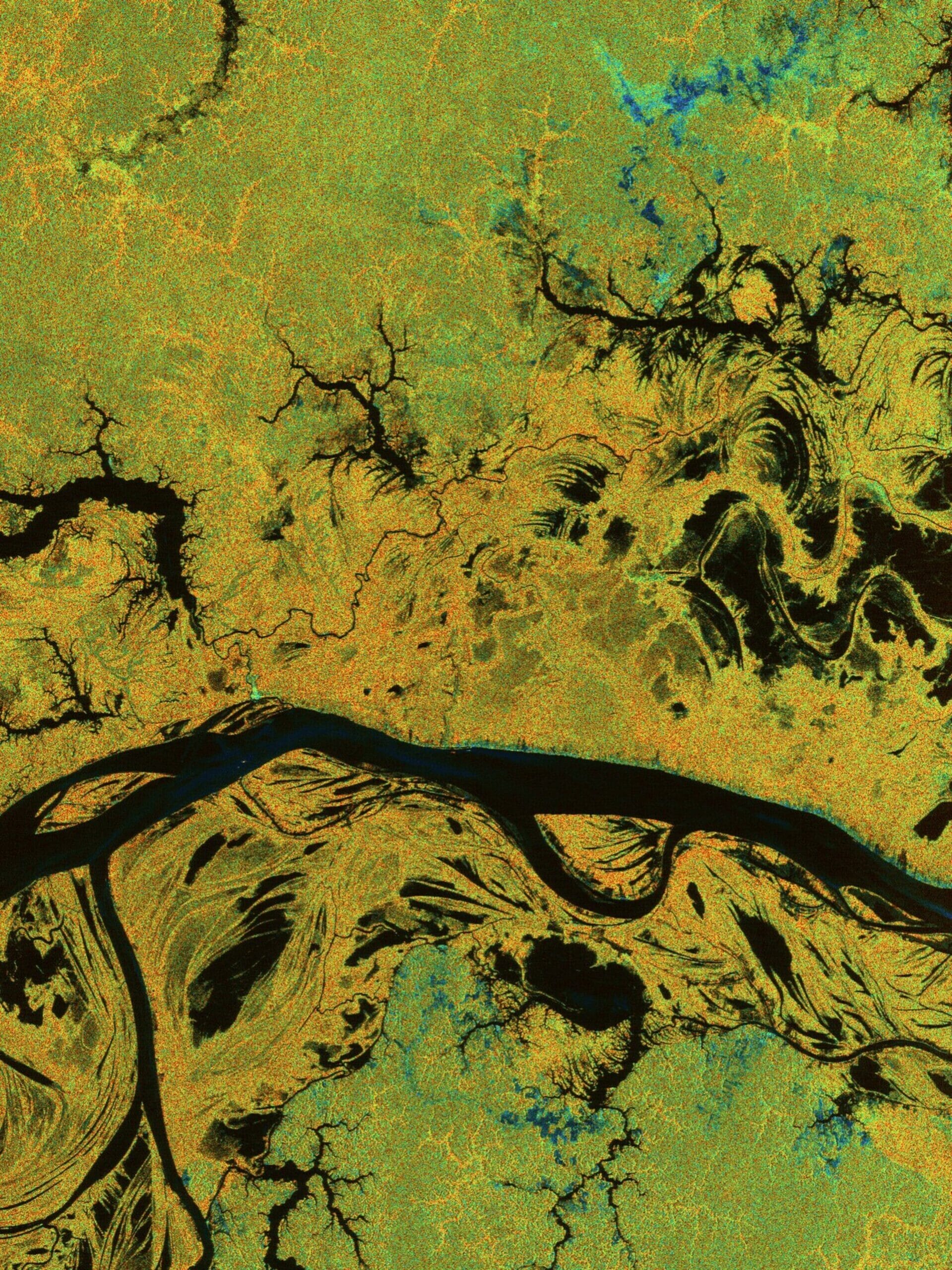 Amazon_River_northern_Brazil_pillars-scaled.jpg?w=767&h=1024&scale