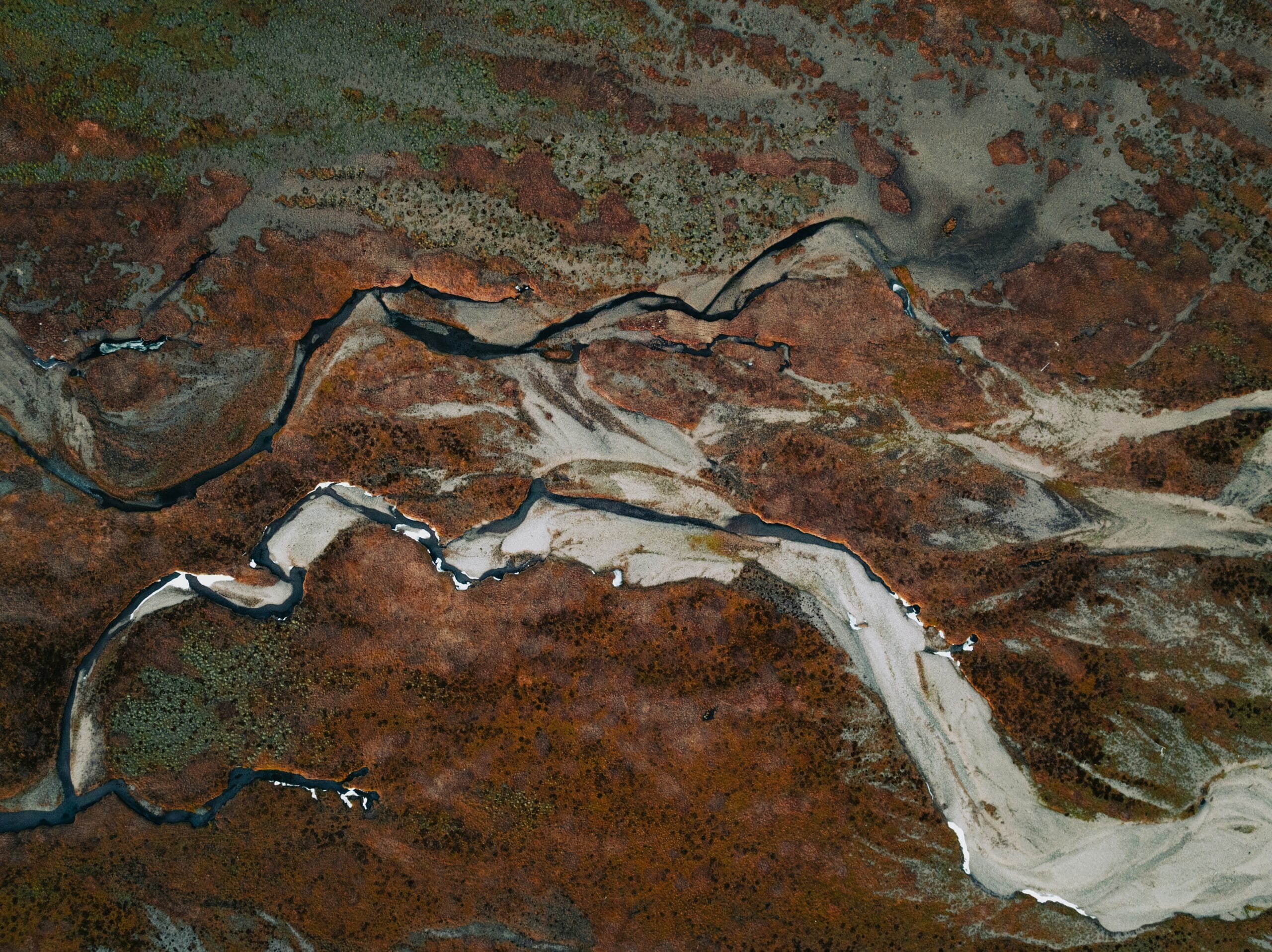 unsplash-community-4ZrrCuFFKfc-unsplash-scaled.jpg?w=1024&h=767&scale
