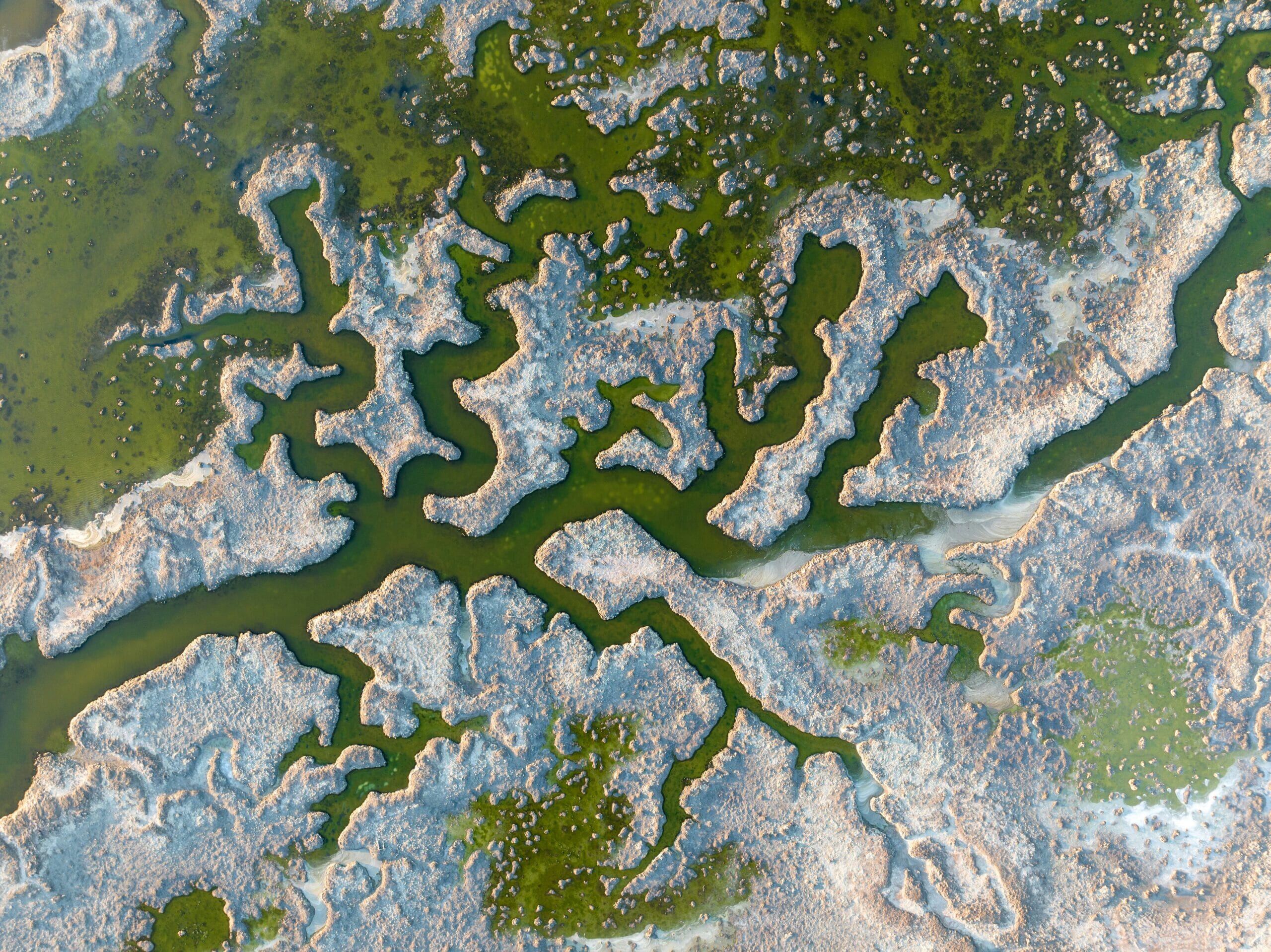 zetong-li-HbFhjsMPQy4-unsplash-scaled.jpg?w=1024&h=767&scale