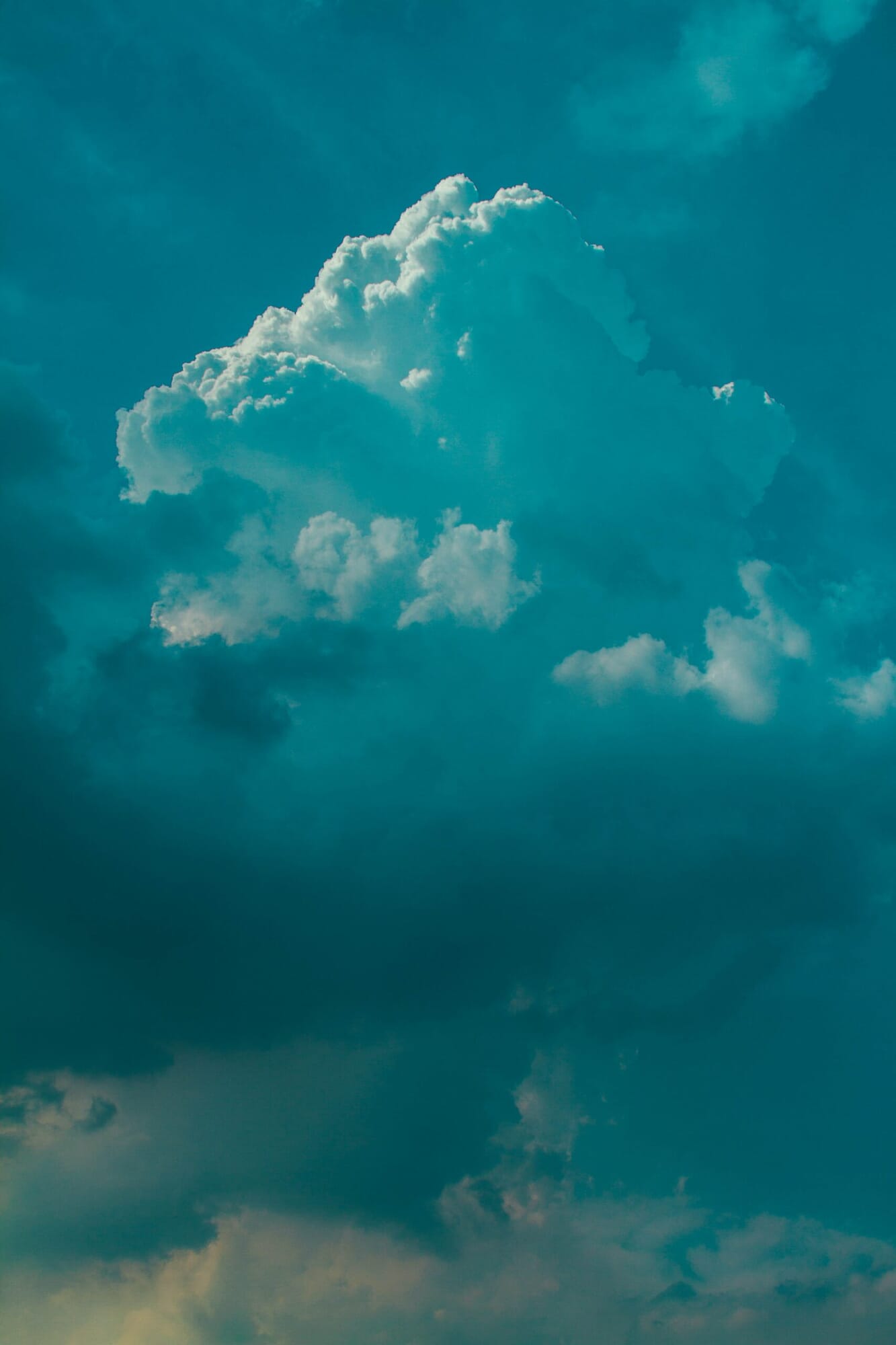 nathan-dumlao-OHzkfrv9Ycw-unsplash-scaled.jpg?w=1333&h=2000&scale nathan-dumlao-OHzkfrv9Ycw-unsplash-scaled.jpg?w=1333&h=2000&scale
