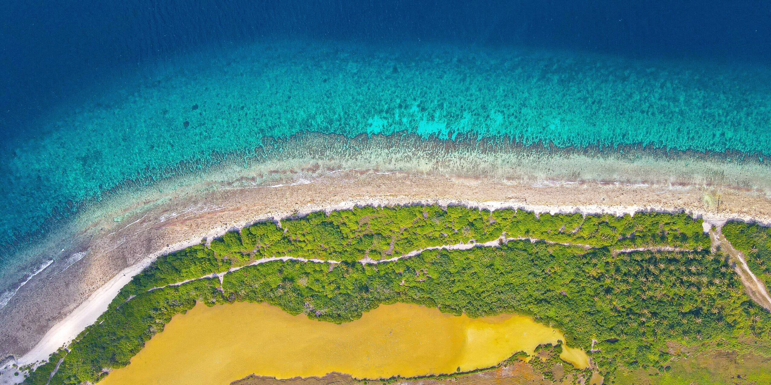 mohamed-ibrahim-N-0v8bliKhU-unsplash-scaled.jpg?w=2000&h=1000&scale