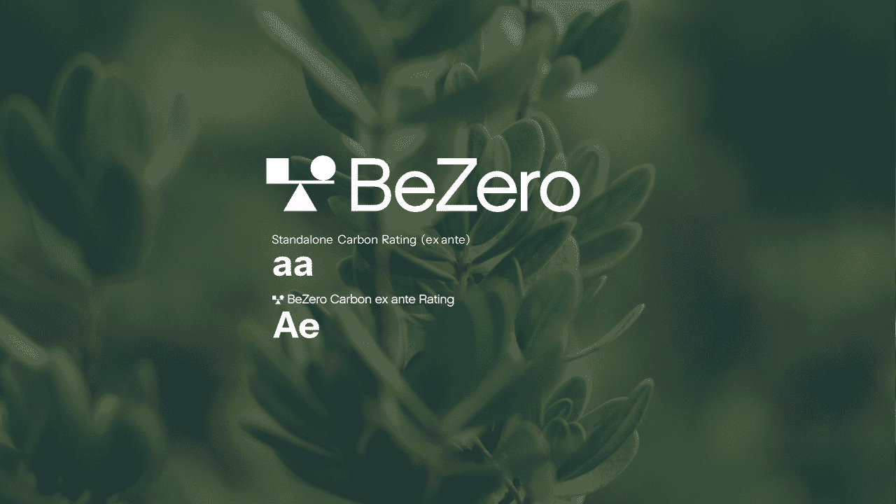 Imperative-BeZero-Ex-Ante-Tile-8