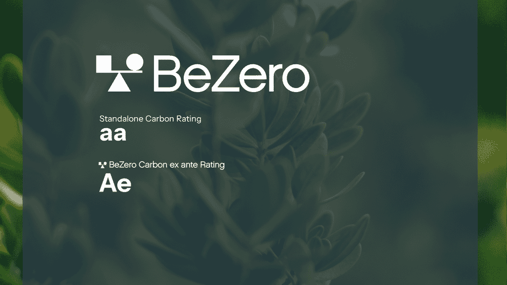 Bezero Png Read our Blog | Imperative