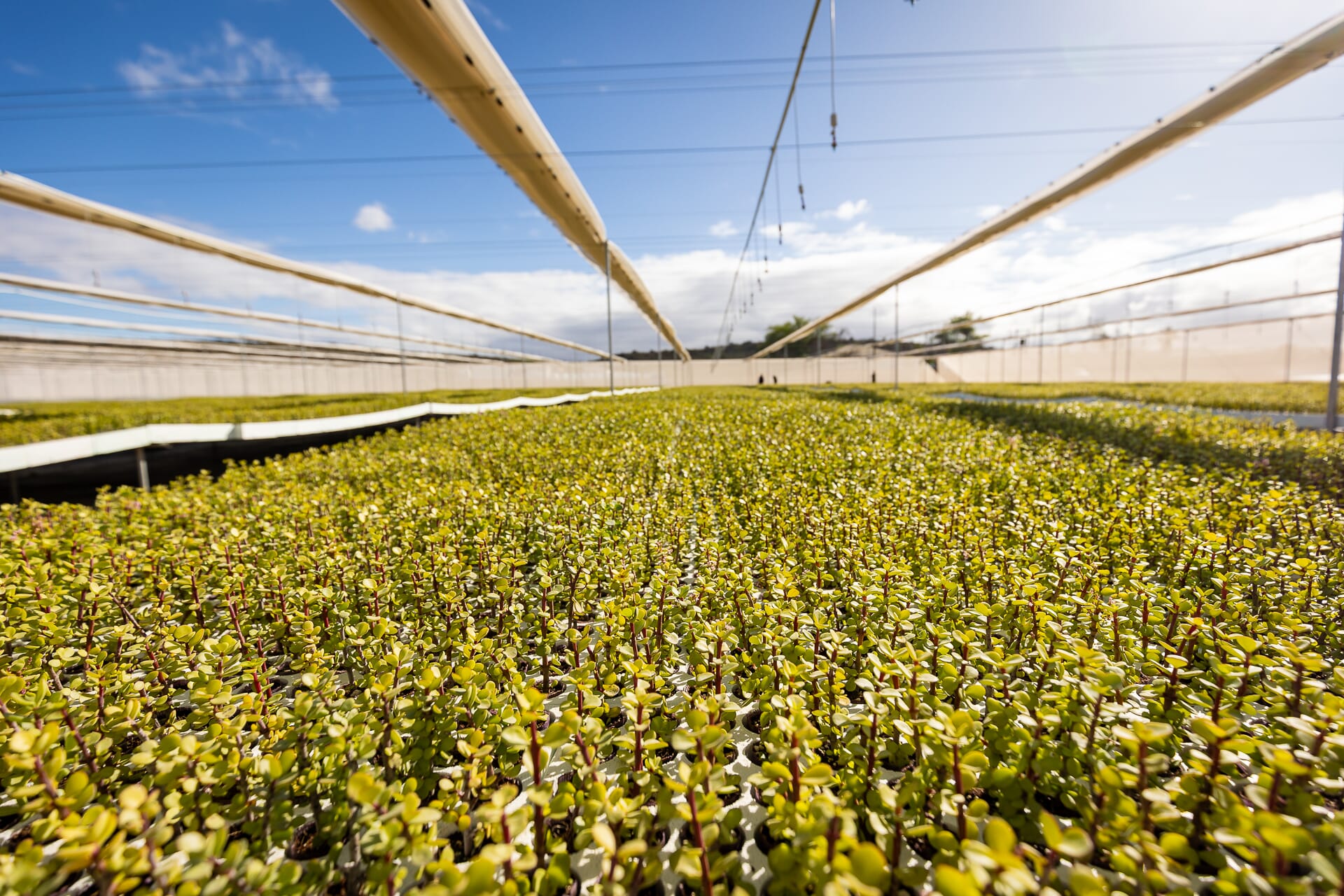 C58A0803.jpg?w=1024&h=683&scale