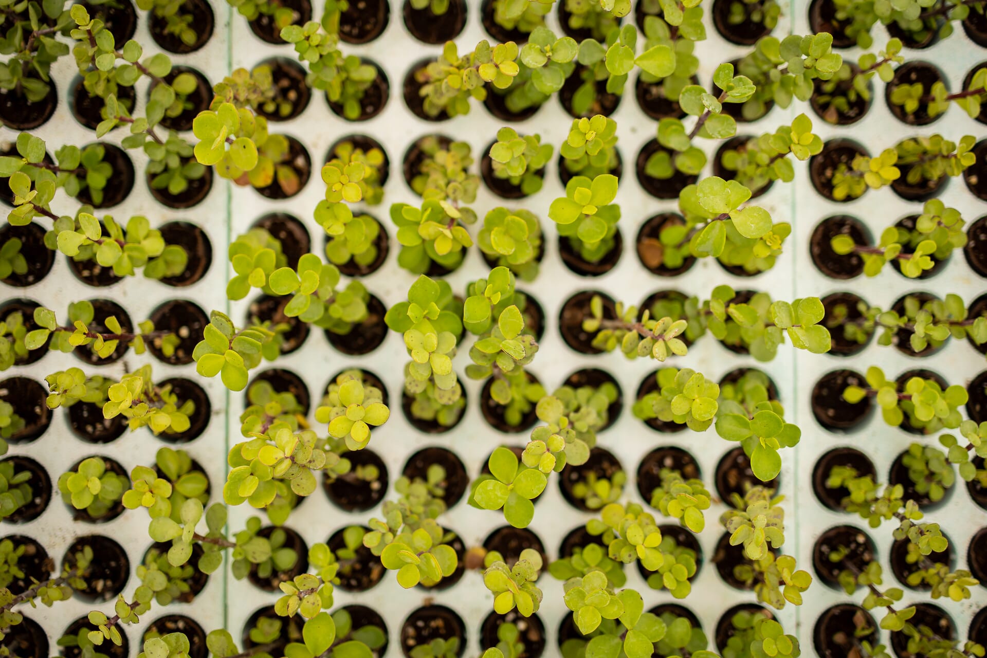 N4A9773.jpg?w=1024&h=683&scale