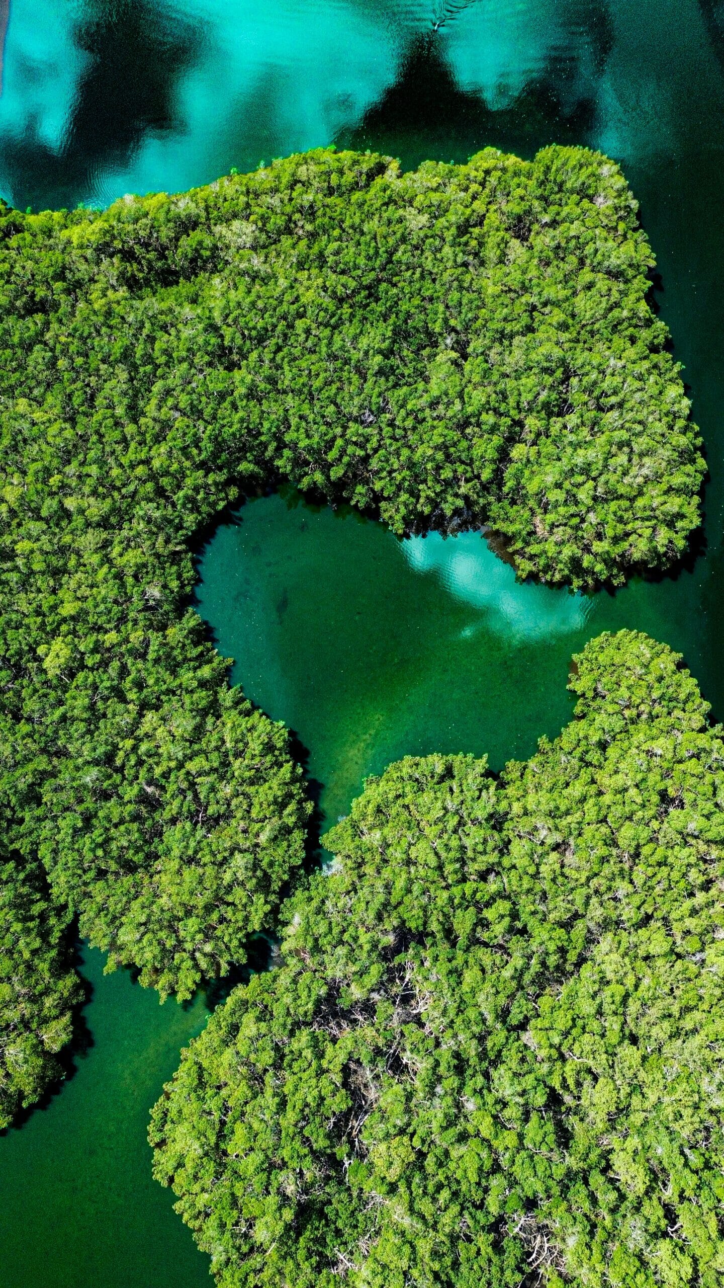 adam-gilley-PLfs5_lr76Y-unsplash-scaled.jpg?w=576&h=1024&scale