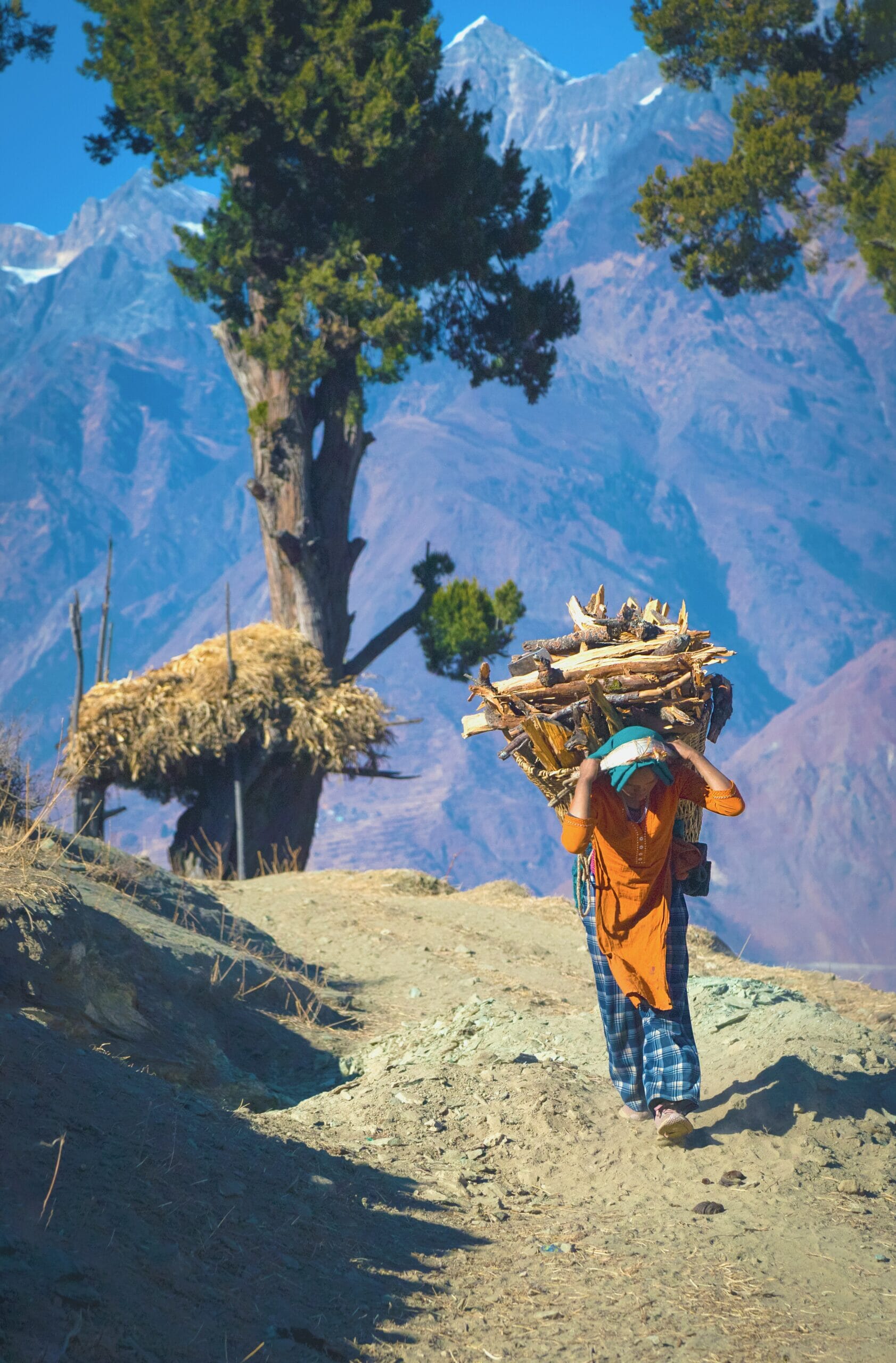 ashok-acharya-GBnb8dfs5oQ-unsplash-scaled.jpg?w=673&h=1024&scale