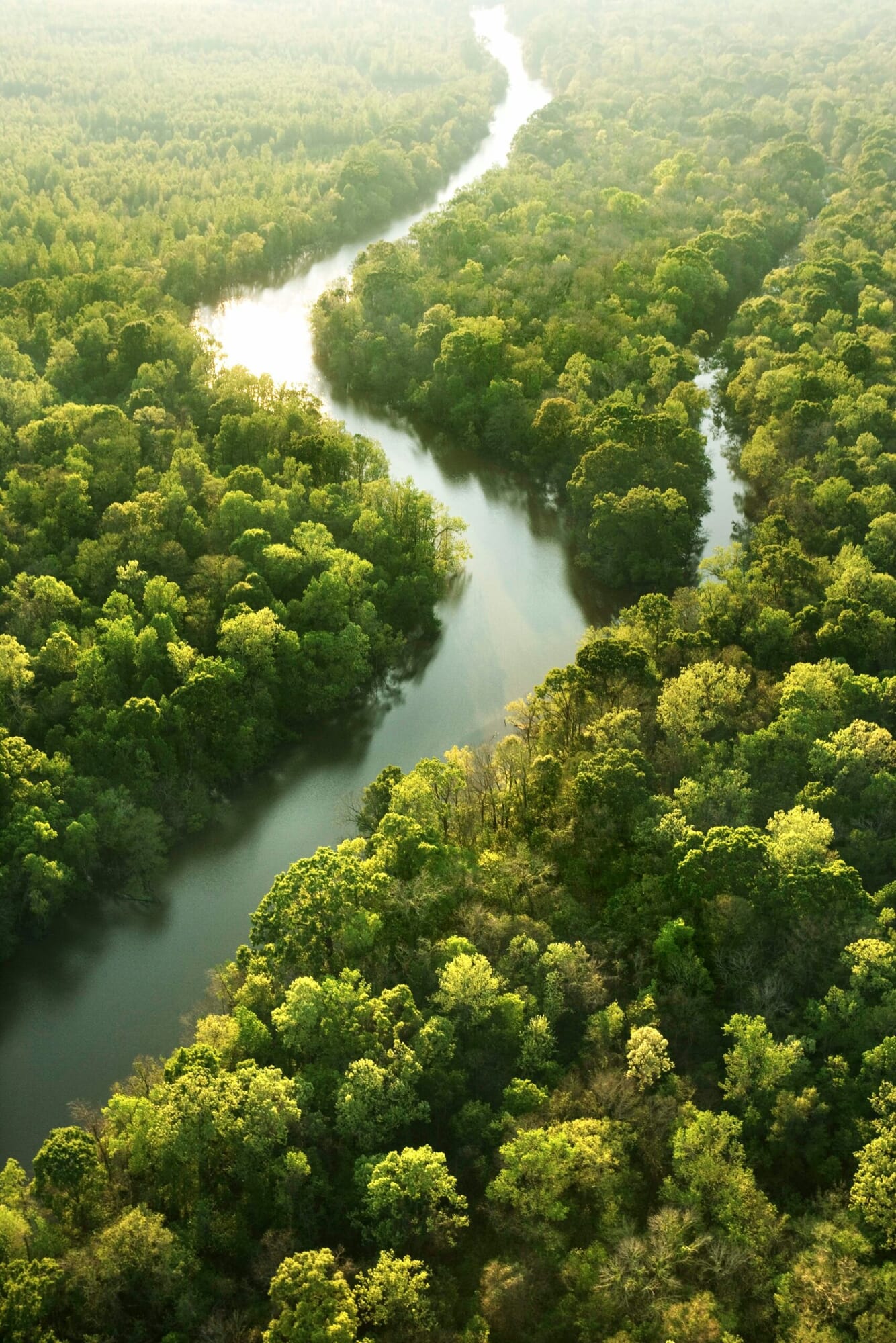 getty-images-BWj4Q8pxttU-unsplash-scaled.jpg?w=1334&h=2000&scale getty-images-BWj4Q8pxttU-unsplash-scaled.jpg?w=1334&h=2000&scale
