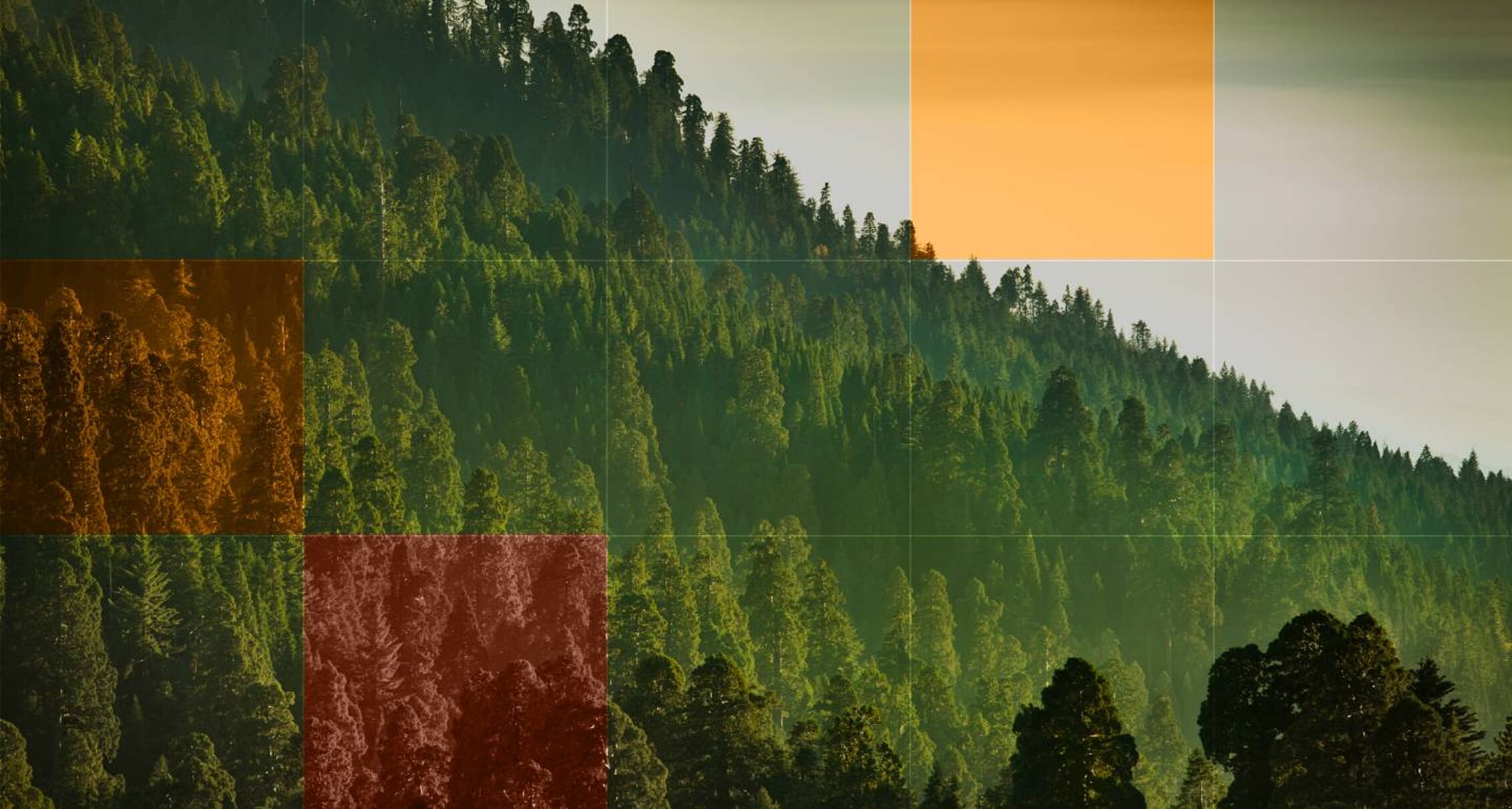 IG-texture-1-1.jpg?w=2000&h=1071&scale