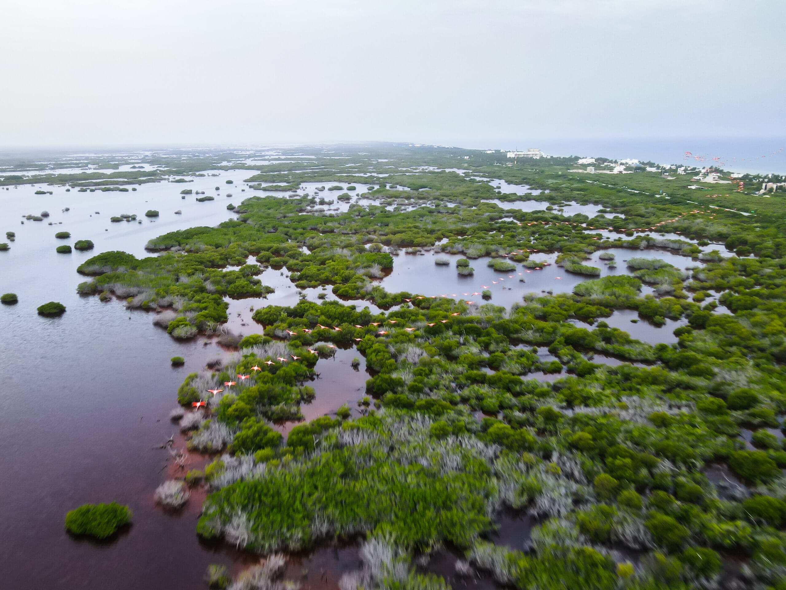 Picture-1-1-scaled.jpg?w=1024&h=768&scale