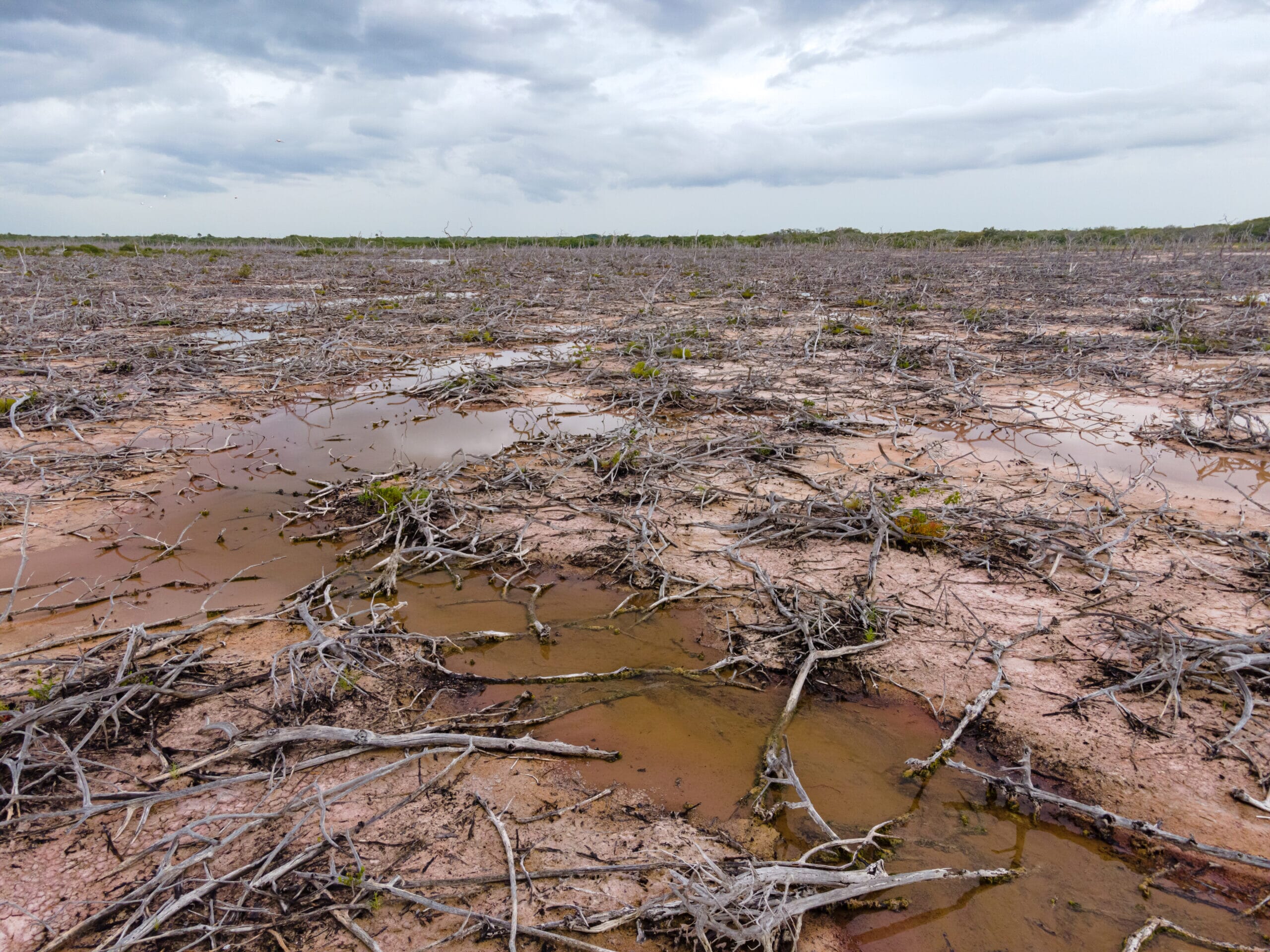 Picture-2-scaled.jpg?w=1024&h=768&scale