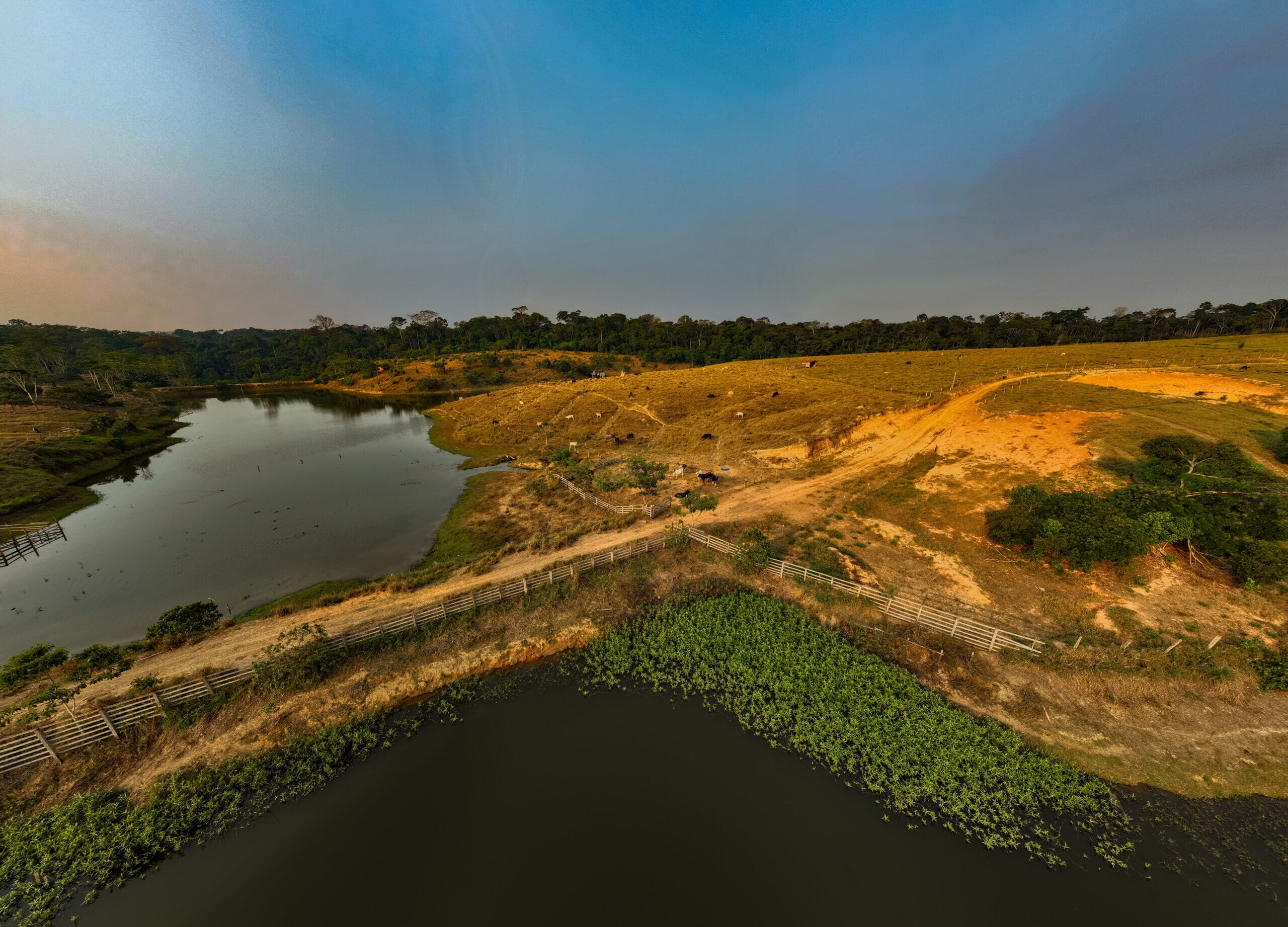 DronGanaderia_PavelMartiarena_13-scaled.jpg?w=2000&h=1440&scale