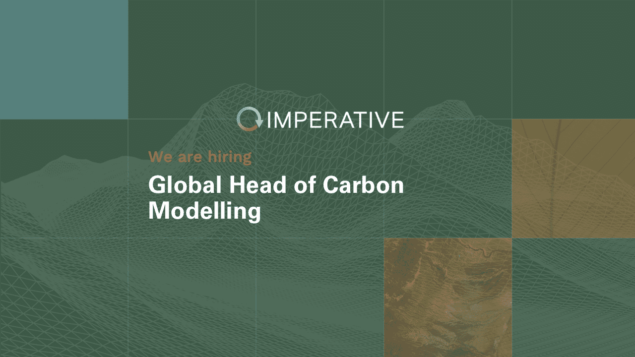 Global-Head-of-Carbon-Modelling
