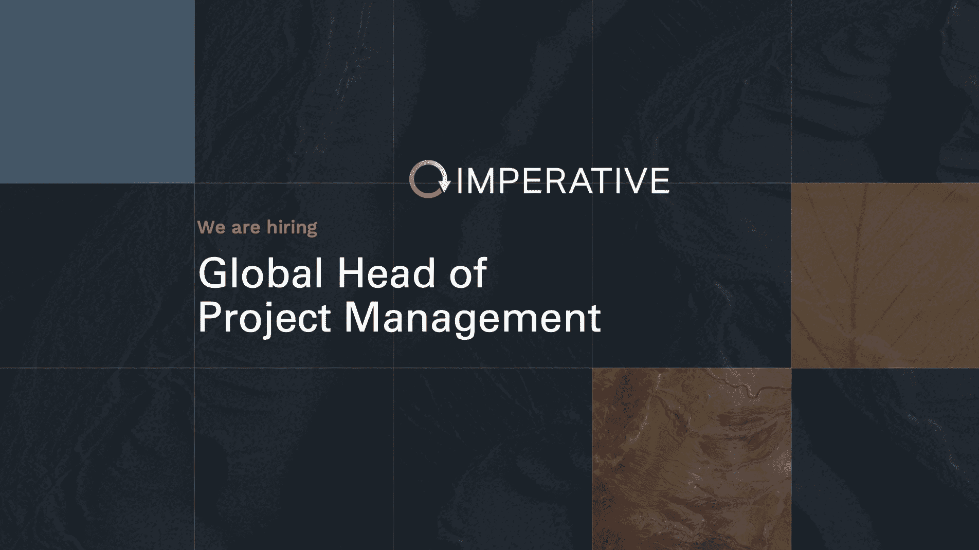 Screenshot-2026-02-03-at-7.26.04-PM