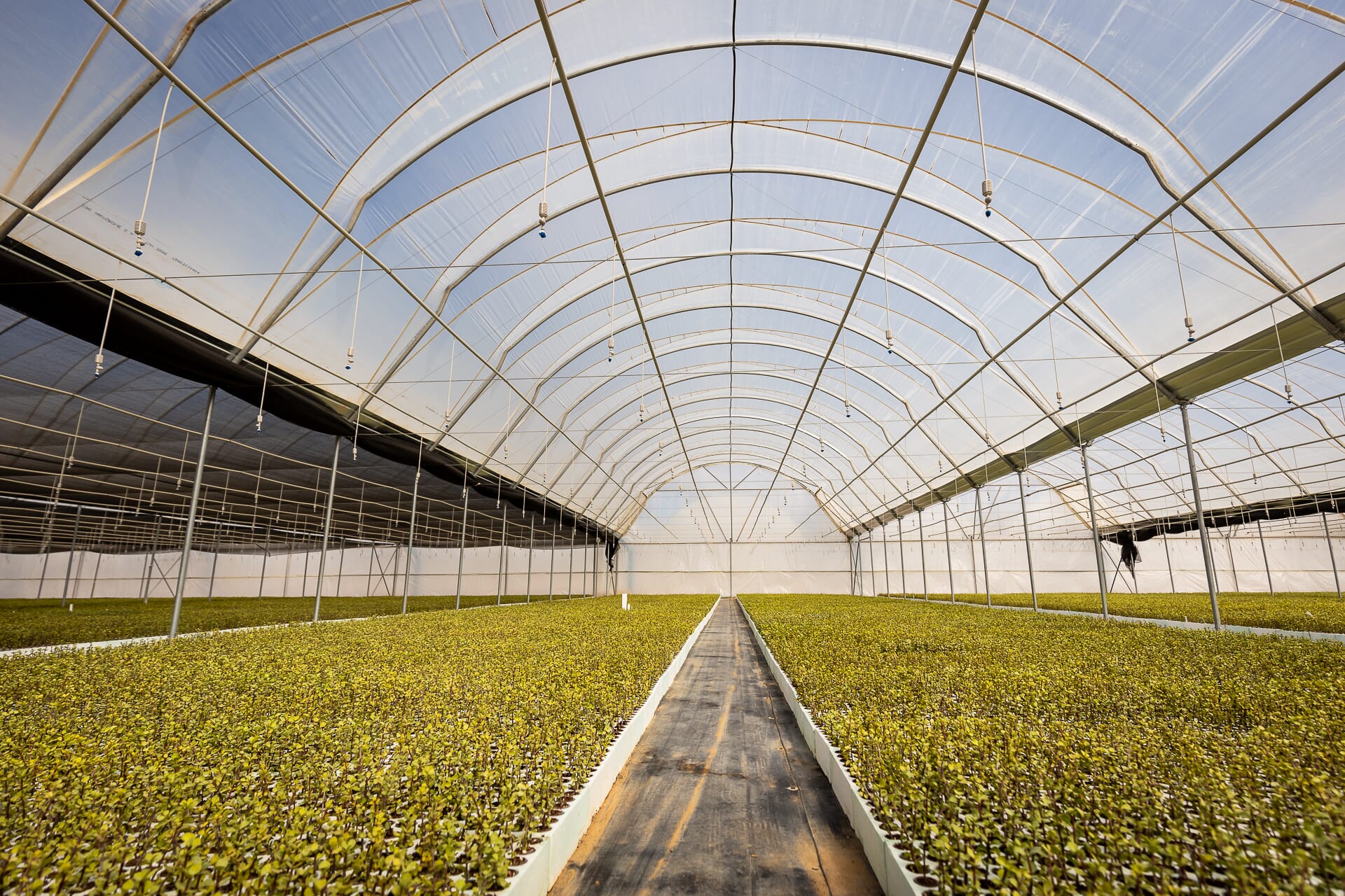 J1A0352.jpg?w=1024&h=683&scale