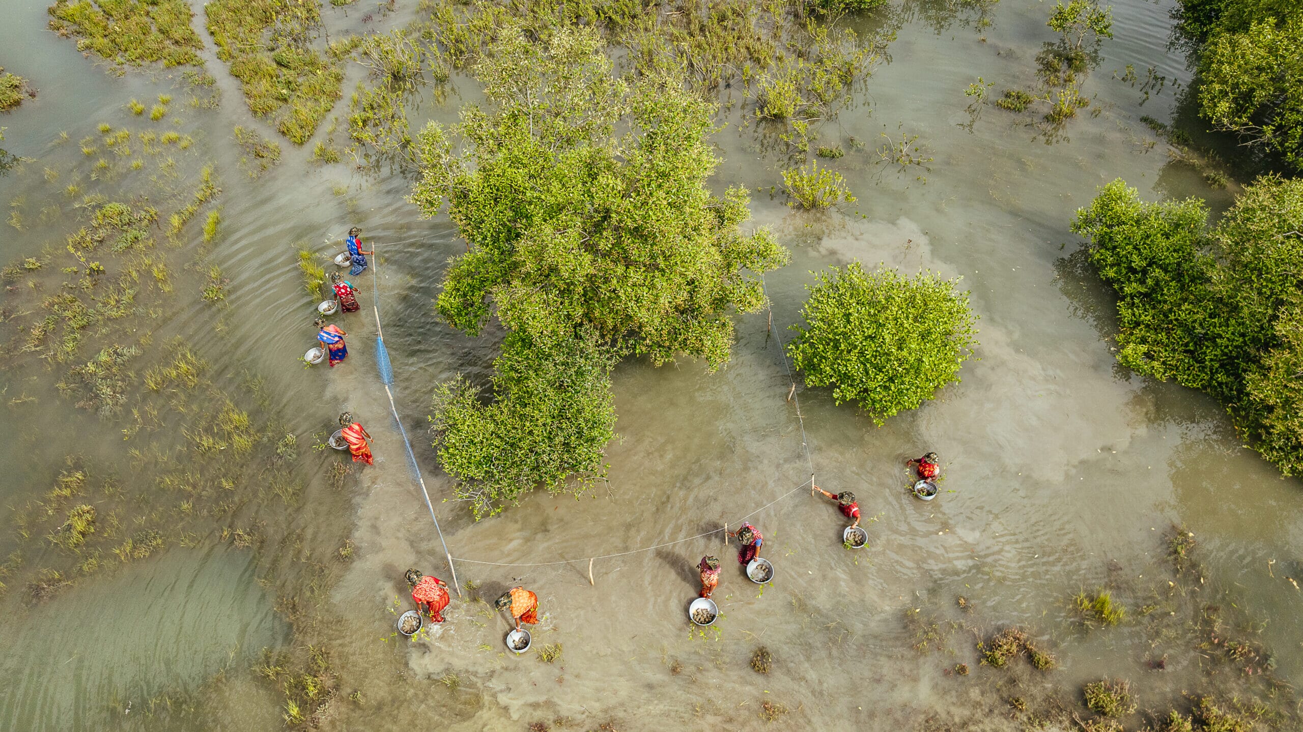 DJI_0564-scaled.jpg?w=2000&h=1124&scale